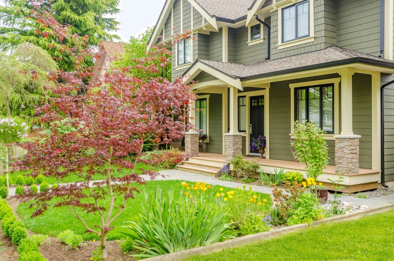 Modern residential home with red Japanese maple and curb appeal landscaping